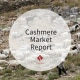 Cashmere Market Report