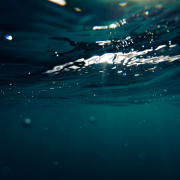 cristian-palmer-481520-unsplash (1)