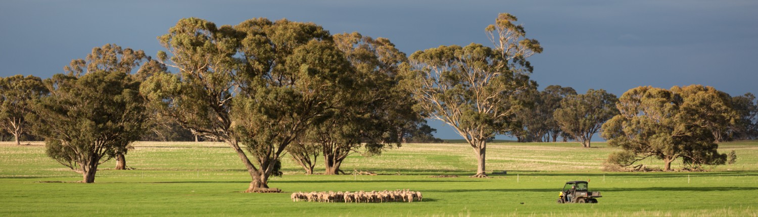 Authentico Index Values 1 Authentico Index Values