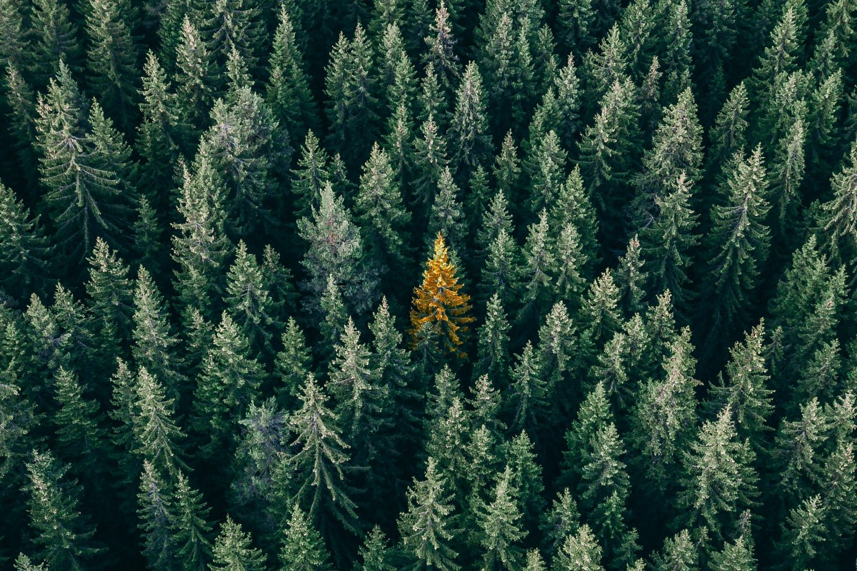 christopher-rusev-UV5aY8N73dA-unsplash-1