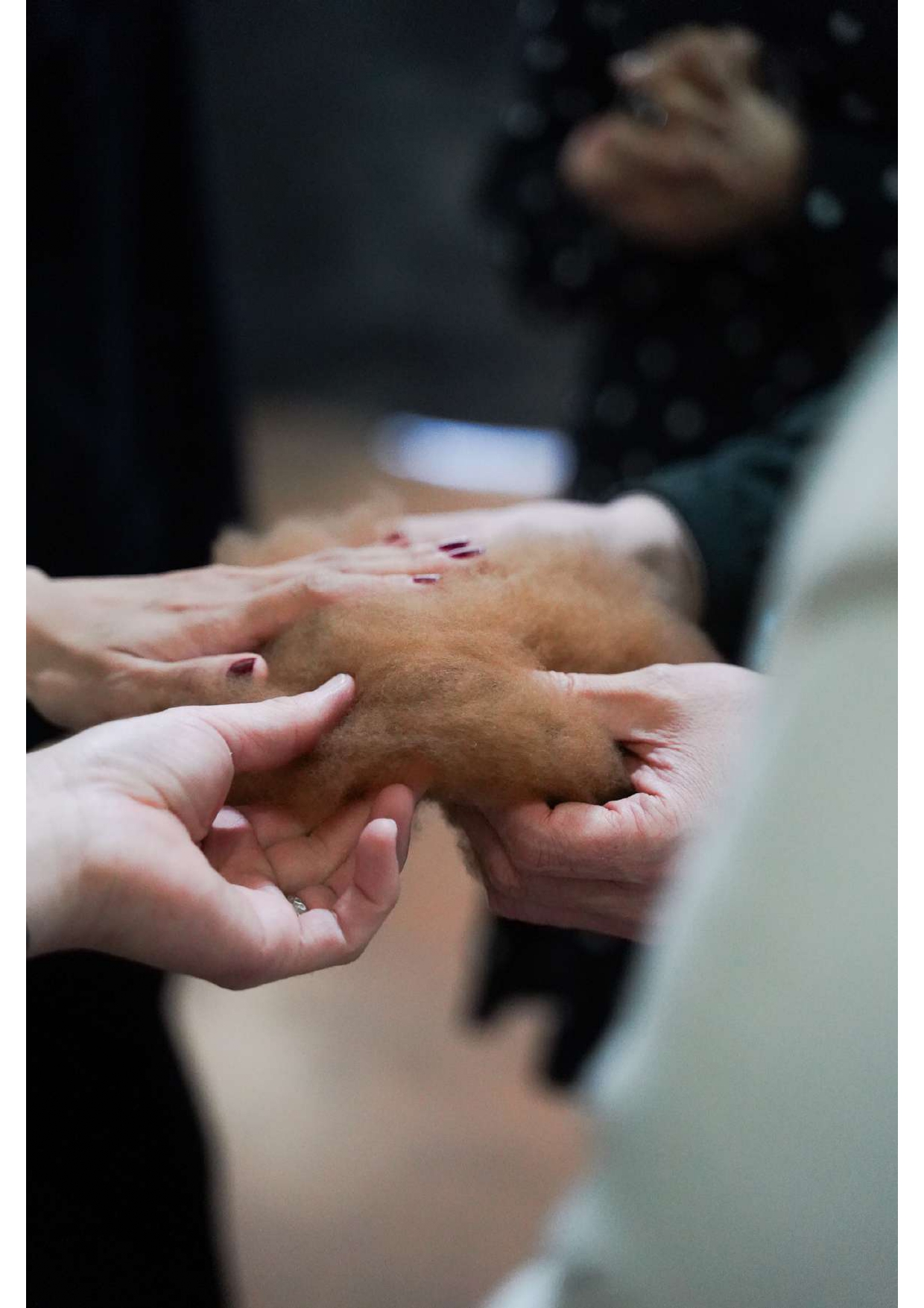 DSC04587_compressed_page-0001