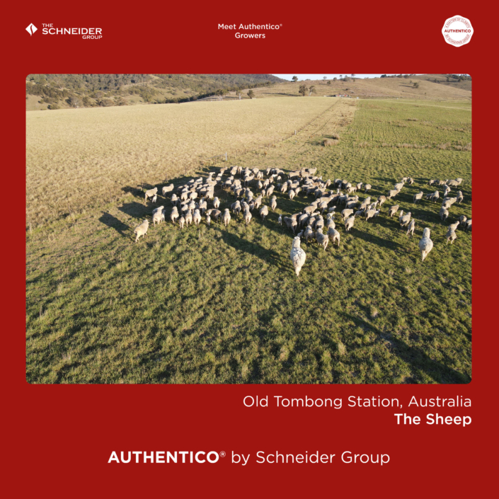 Authentico_Growers_Australia_08_risultato