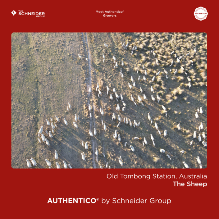 Authentico_Growers_Australia_09_risultato