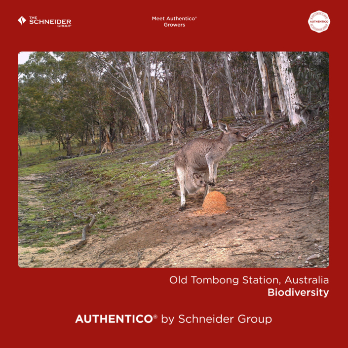 Authentico_Growers_Australia_10_risultato